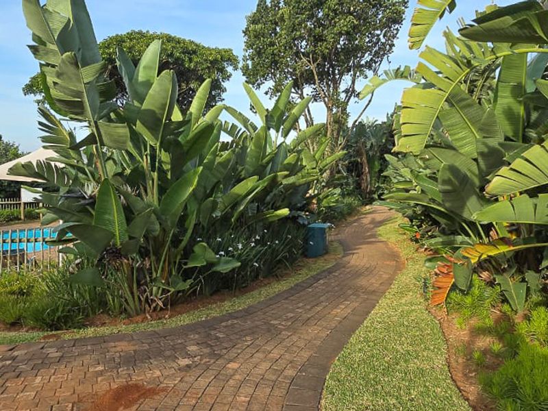 Seamless Indoor-Outdoor Living with Breathtaking Coastline Views - Photo 6