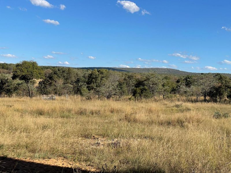 46 Ha of Bushveld Farm for Sale in Vaalwater - Photo 10