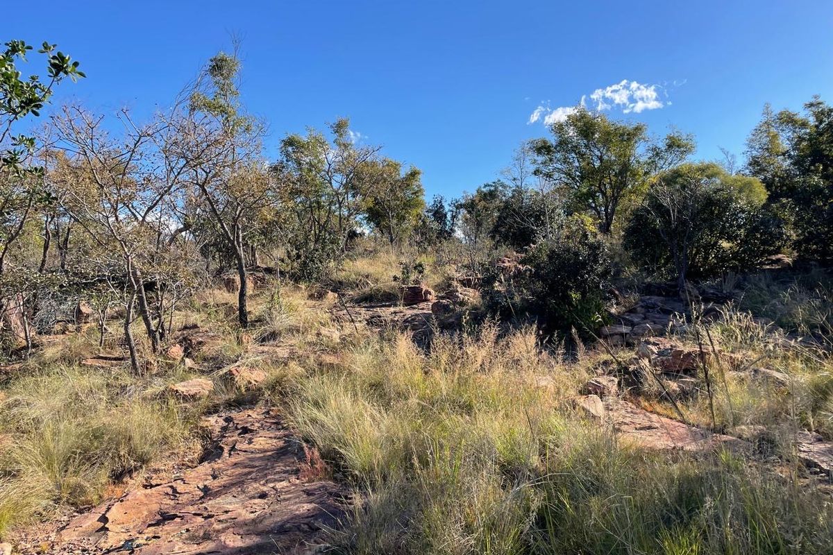 46 Ha of Bushveld Farm for Sale in Vaalwater - Photo 2