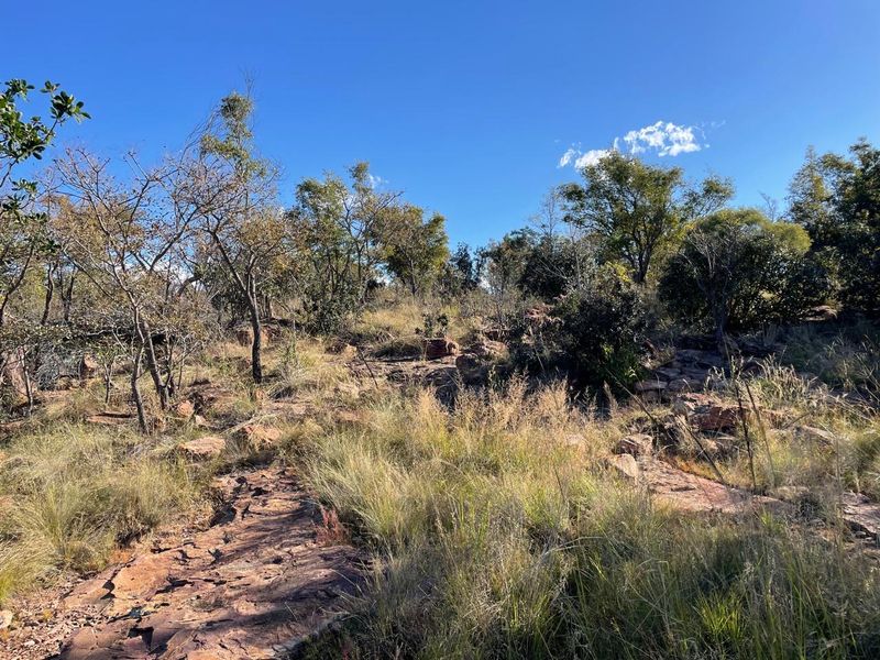 46 Ha of Bushveld Farm for Sale in Vaalwater - Photo 2