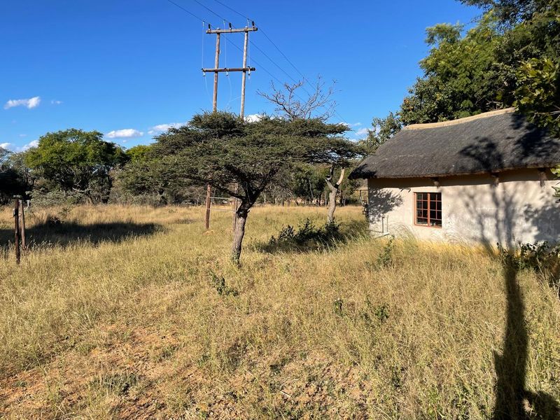 46 Ha of Bushveld Farm for Sale in Vaalwater - Photo 7