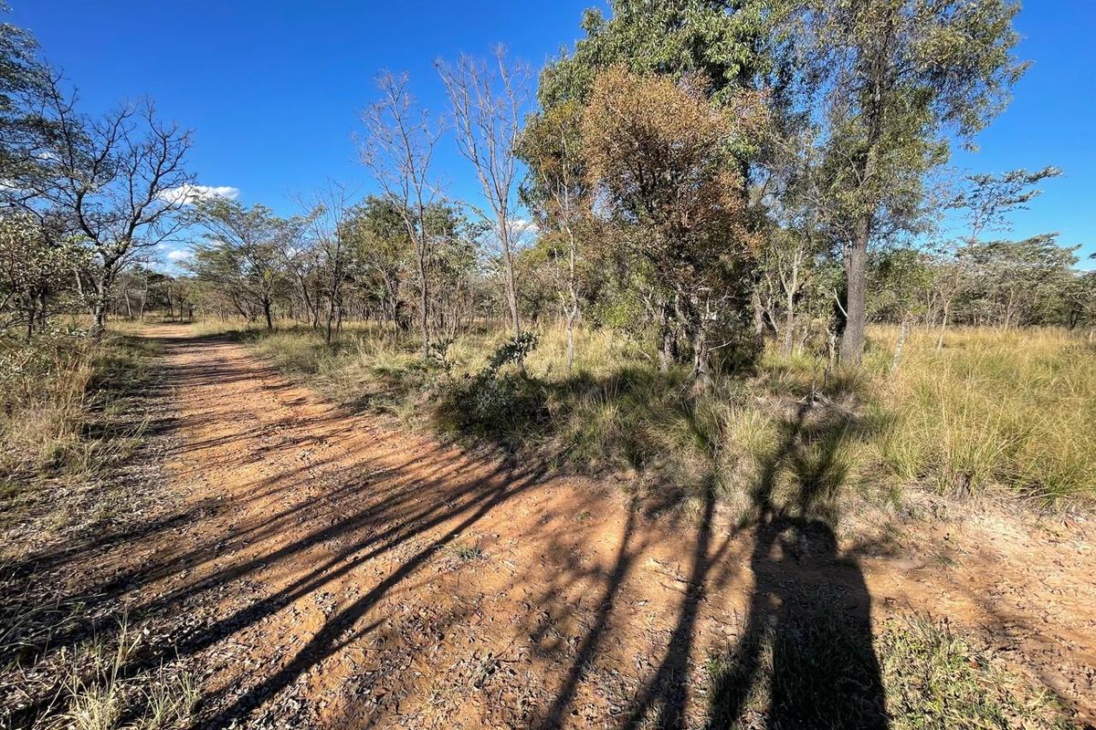 46 Ha of Bushveld Farm for Sale in Vaalwater - Photo 5