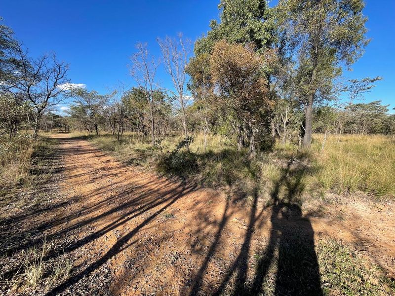 46 Ha of Bushveld Farm for Sale in Vaalwater - Photo 5