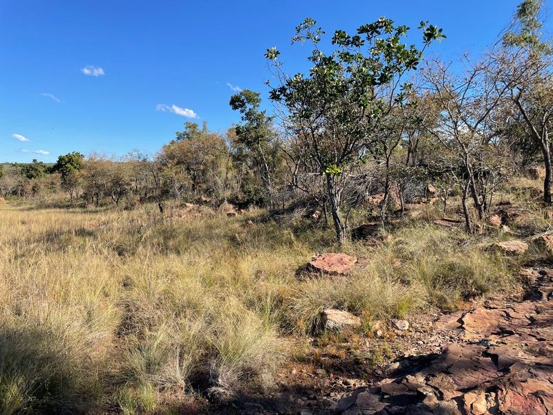 46 Ha of Bushveld Farm for Sale in Vaalwater - Photo 4