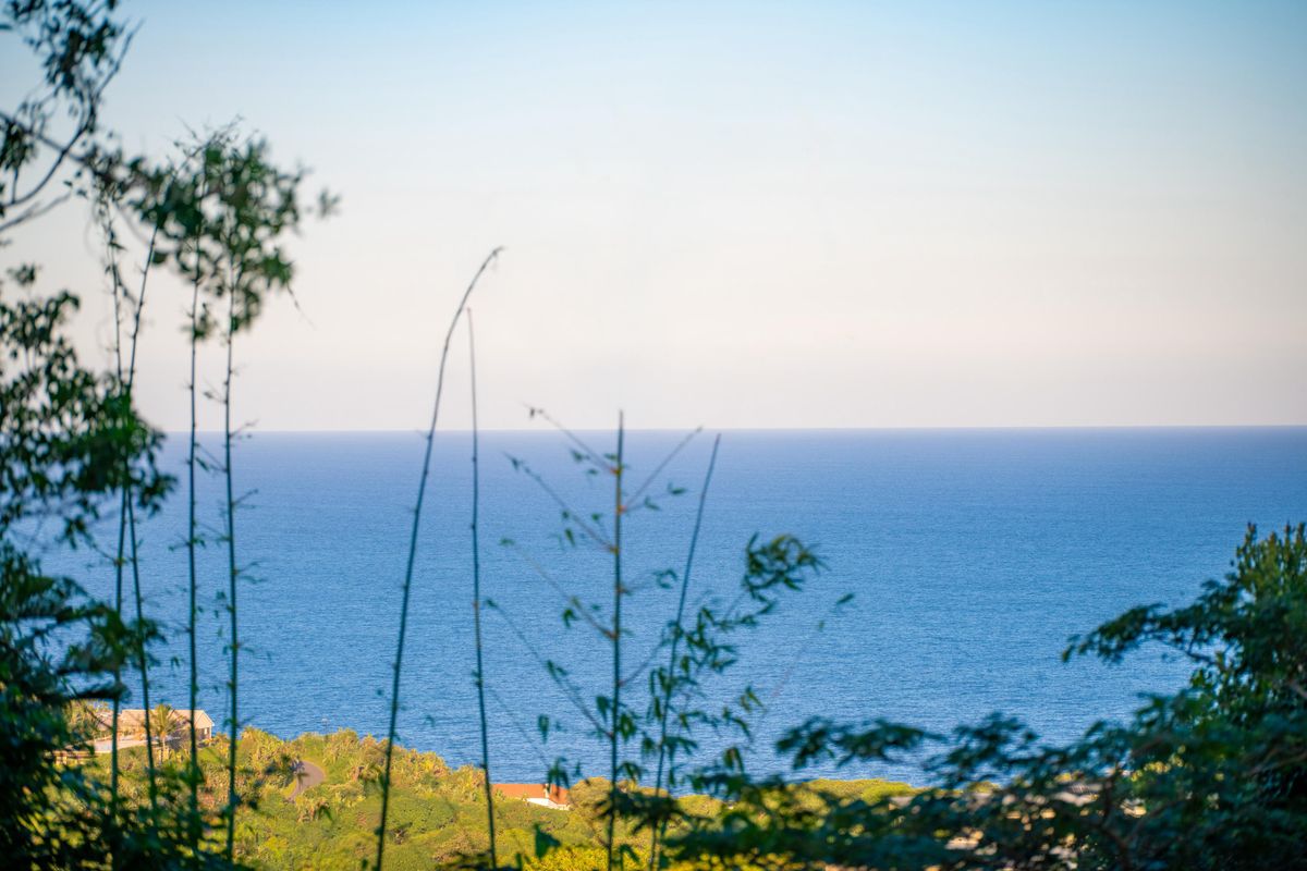 Elaleni coastal living-vacant land Sea view and ocean breeze. - Photo 4
