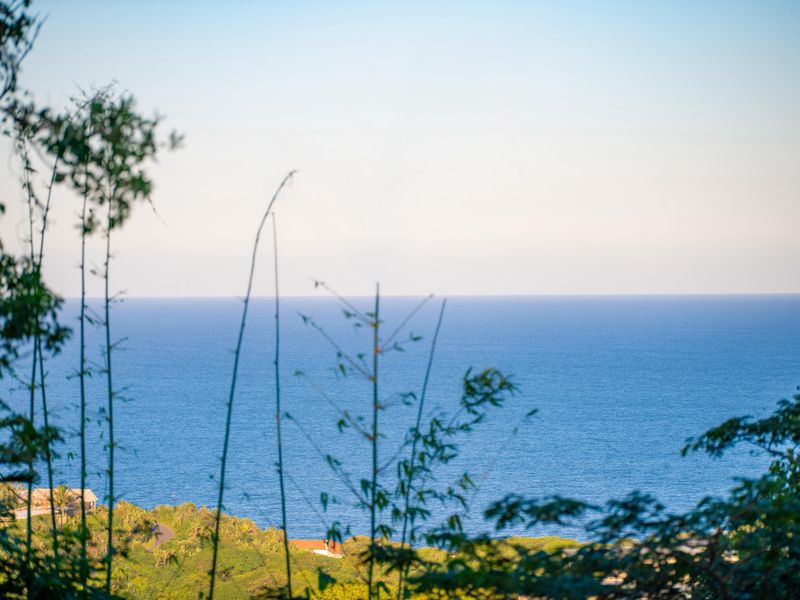 Elaleni coastal living-vacant land Sea view and ocean breeze. - Photo 4