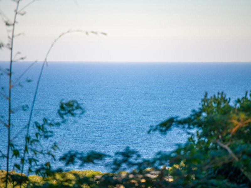 Elaleni coastal living-vacant land Sea view and ocean breeze. - Photo 7
