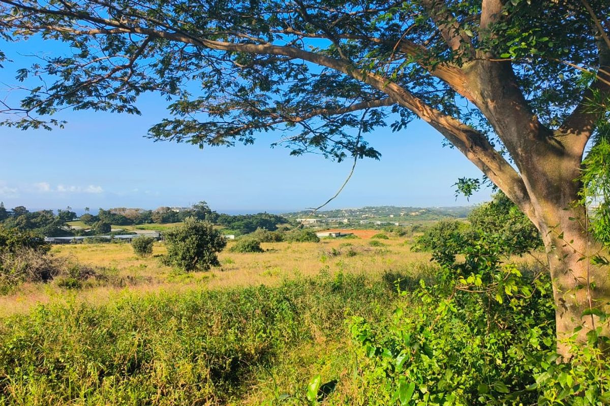 Seaview stand in Salt Rock - Photo 3