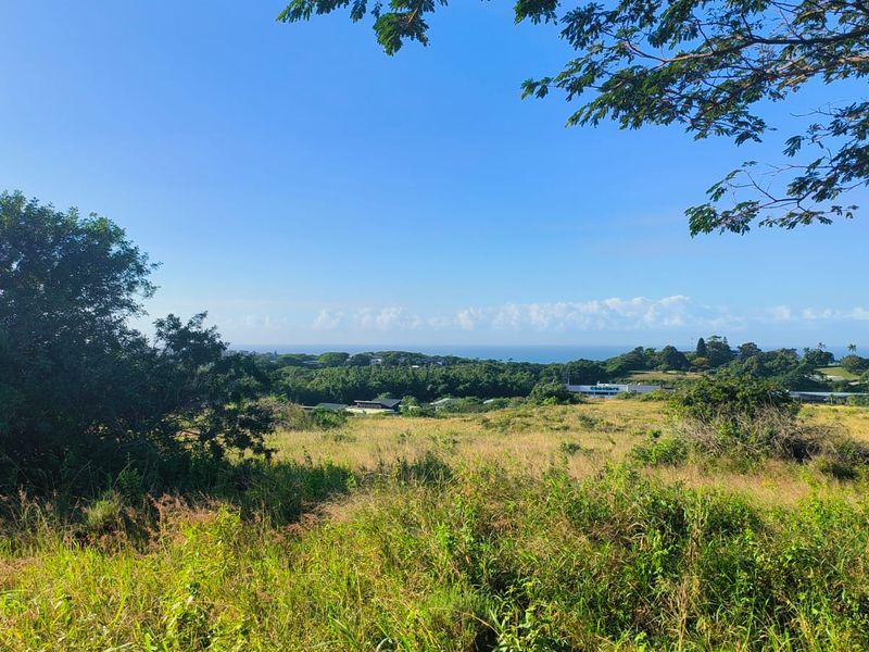 Seaview stand in Salt Rock - Photo 8