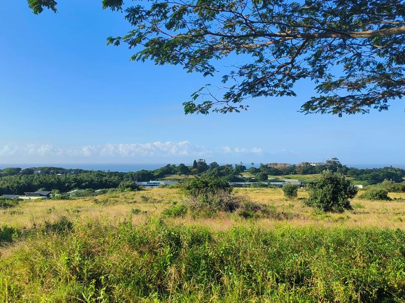Seaview stand in Salt Rock - Photo 7