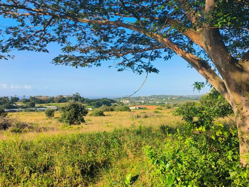 Seaview stand in Salt Rock - Photo 5