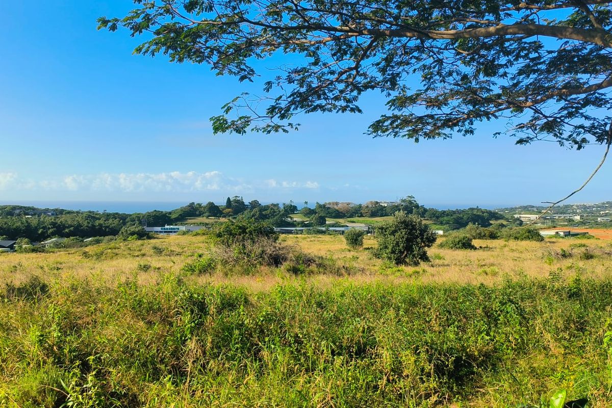 Seaview stand in Salt Rock - Photo 2