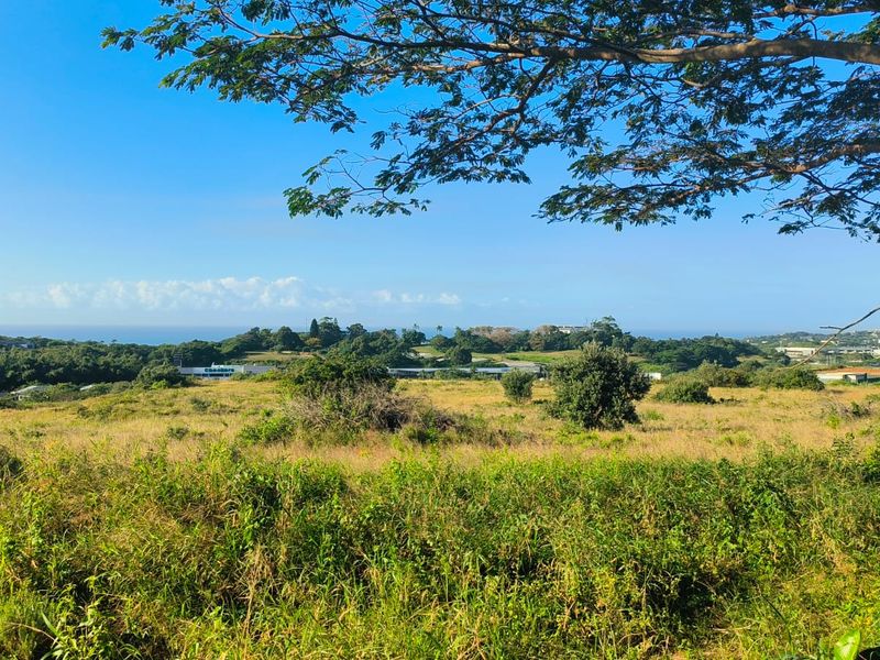 Seaview stand in Salt Rock - Photo 2
