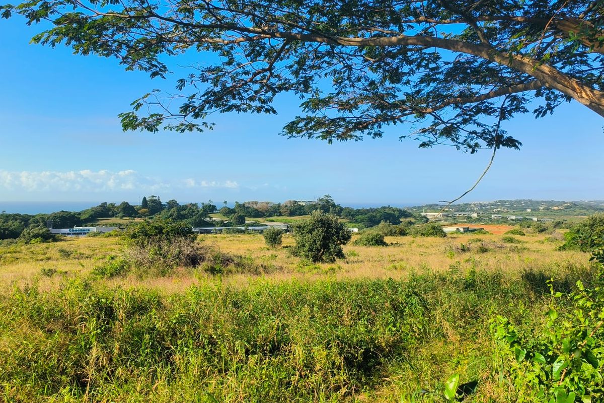 Seaview stand in Salt Rock - Photo 4