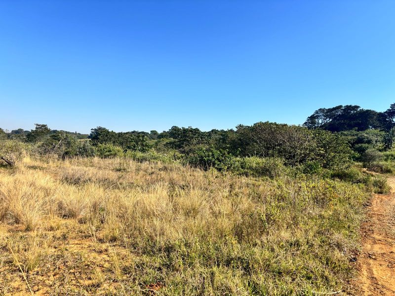 Vacant Land for Sale in Salt Rock City – Your Coastal Dream Begins Here - Photo 10