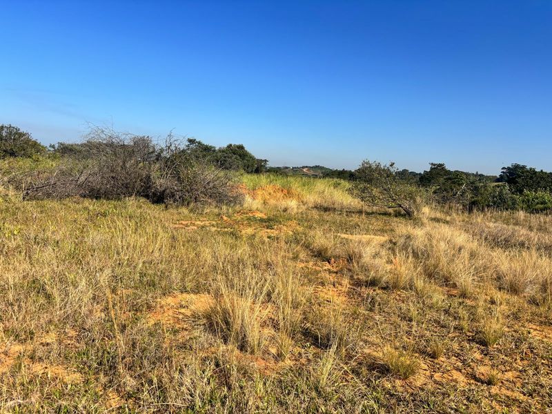 Vacant Land for Sale in Salt Rock City – Your Coastal Dream Begins Here - Photo 9