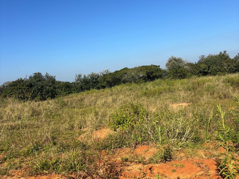 Vacant Land for Sale in Salt Rock City – Your Coastal Dream Begins Here - Photo 8