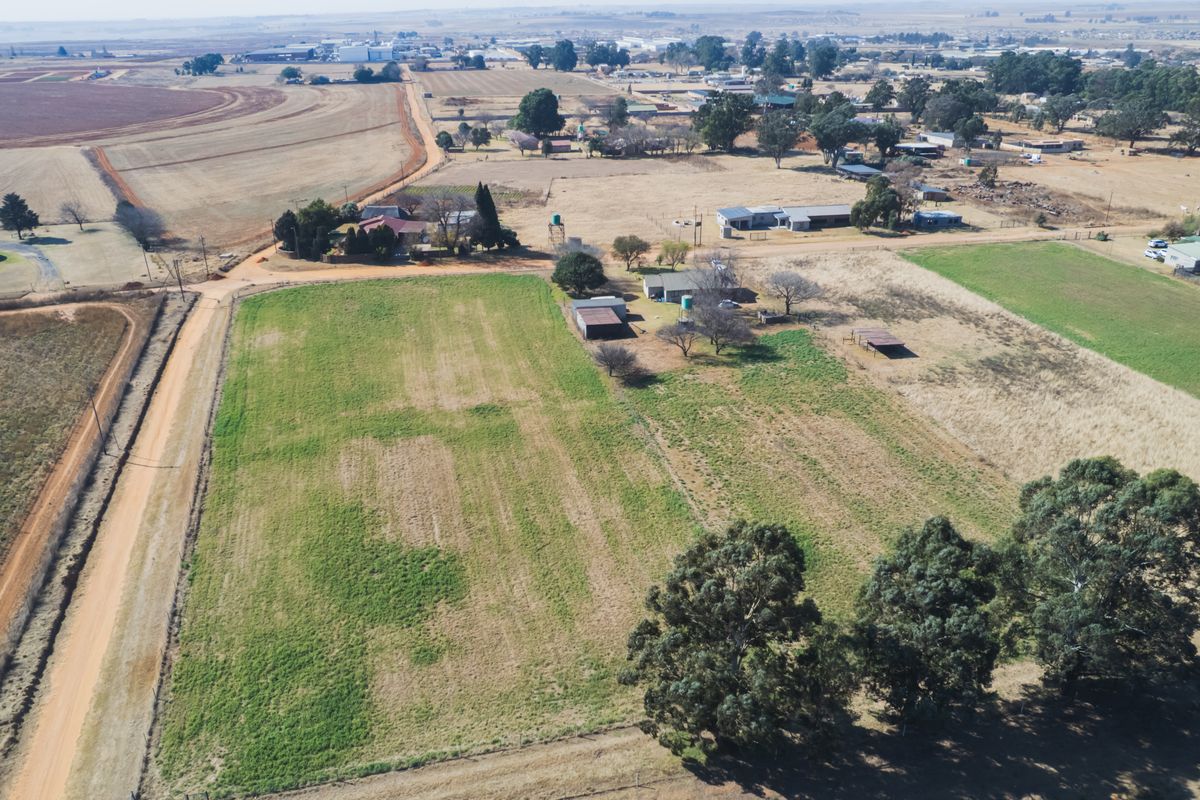 4 Bedroom 2.5h Small Holding Leeupoort Delmas For Sale - Photo 4