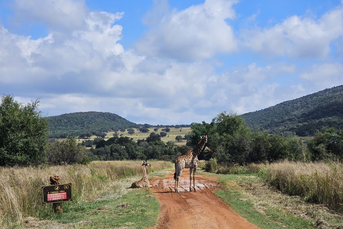 Exclusive Boschhoek Mountain Estate Sanctuary — Main Residence plus Two Private Chalets - Photo 4