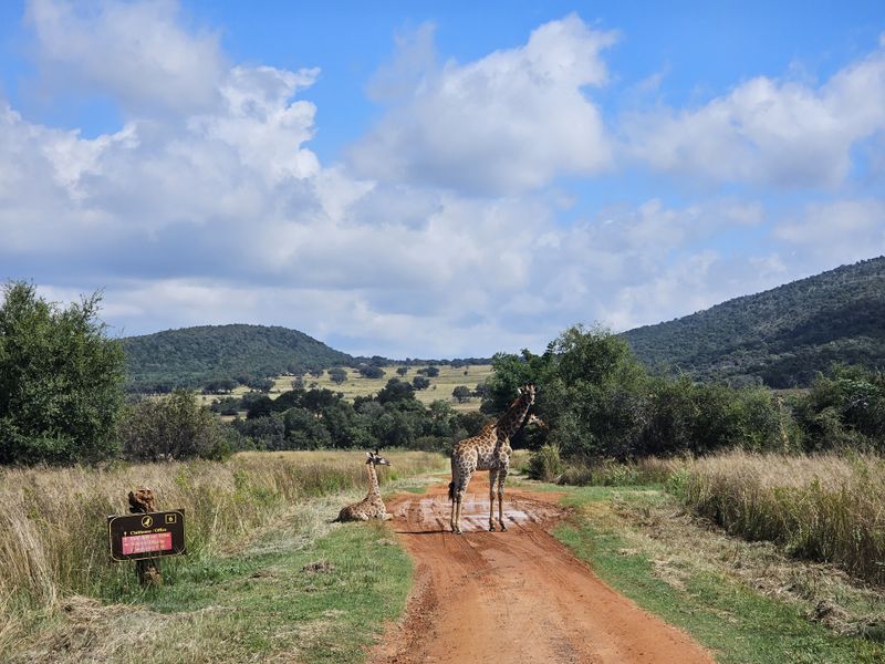 Exclusive Boschhoek Mountain Estate Sanctuary — Main Residence plus Two Private Chalets - Photo 4