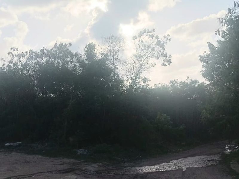 Build your dream home - Photo 2