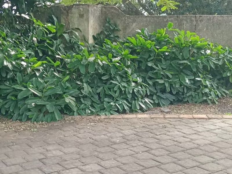 8 Bedroom House for Sale  In Eshowe - Photo 6