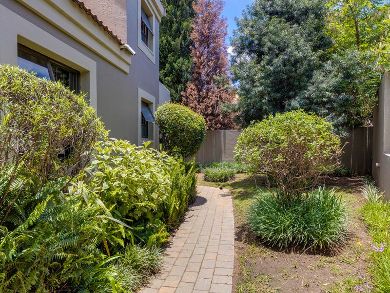 A private rear garden area featuring a paved walkway, established landscaping, and perimeter boundary walls.
