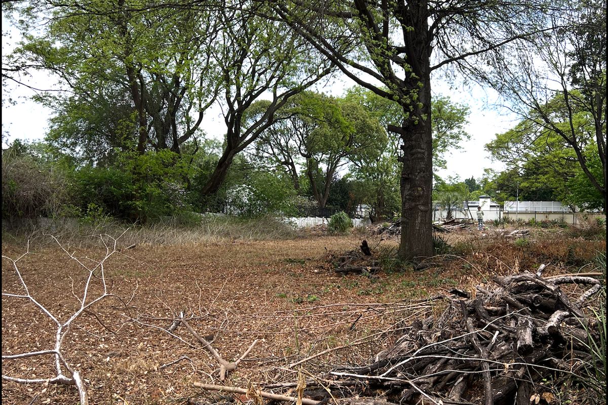 Prime Serviced Land in Sought-After Hurlingham Greenbelt - Photo 3