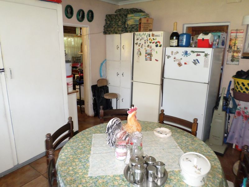 Golden Oldy - Photo 4