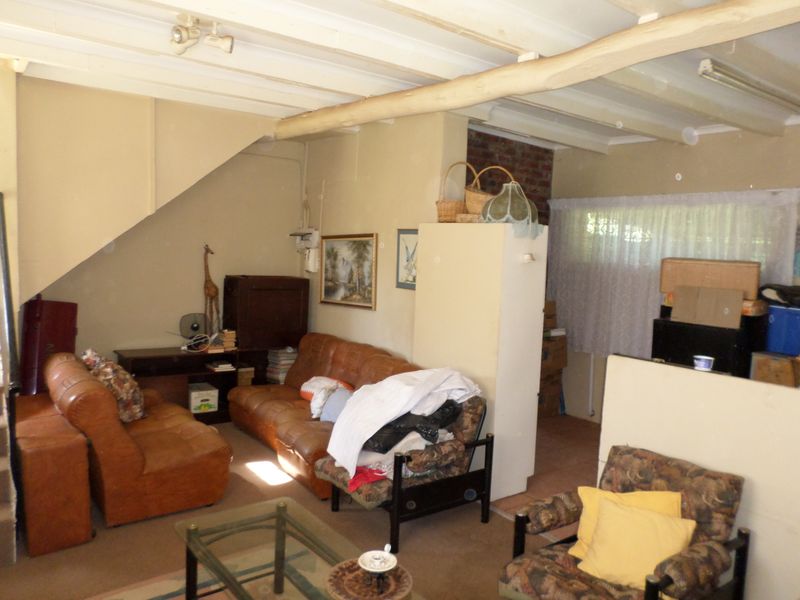 Golden Oldy - Photo 8