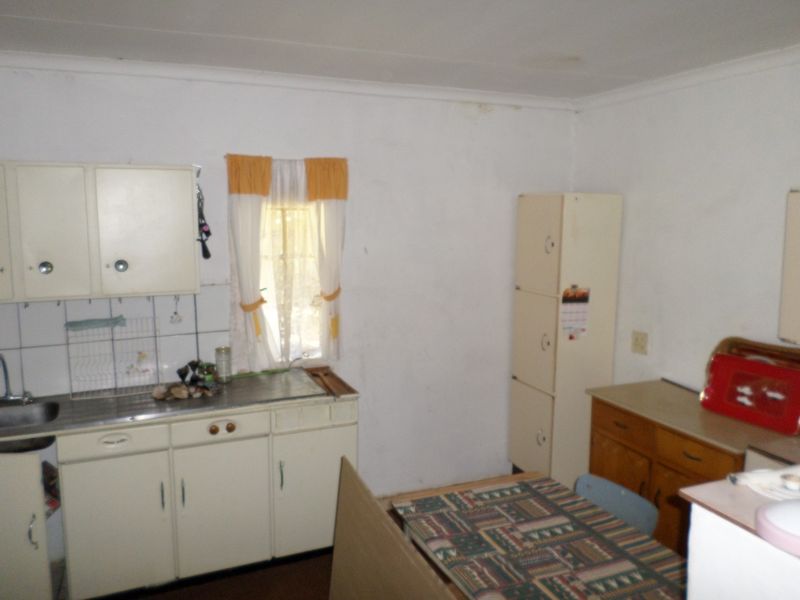 Golden Oldy - Photo 6