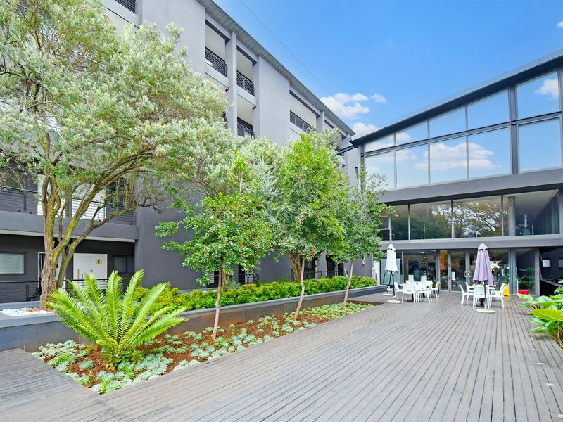 A modern apartment complex courtyard featuring a spacious timber deck, landscaped garden beds, and large glass-fronted building facades.