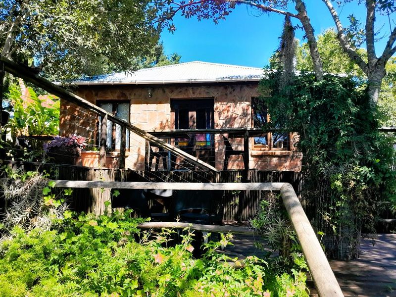 Embark on a Profitable Odyssey: Invest in Harkerville Forest Lodge, where Nature Meets Legacy - Photo 4