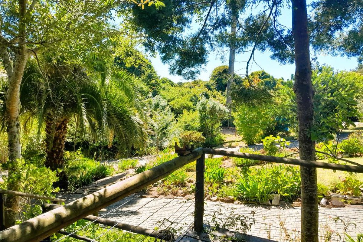 Embark on a Profitable Odyssey: Invest in Harkerville Forest Lodge, where Nature Meets Legacy - Photo 3