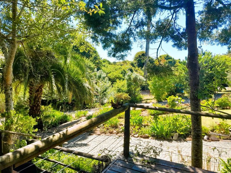 Embark on a Profitable Odyssey: Invest in Harkerville Forest Lodge, where Nature Meets Legacy - Photo 3