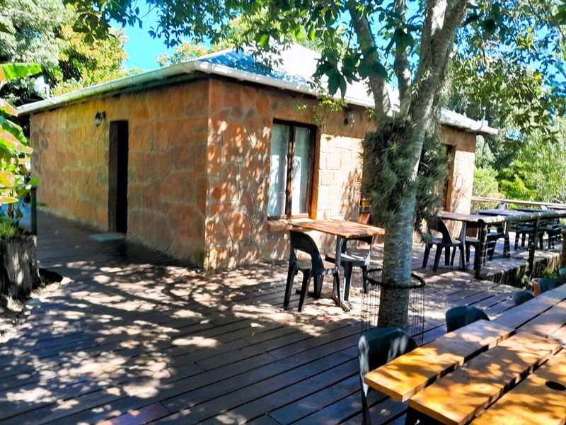 Embark on a Profitable Odyssey: Invest in Harkerville Forest Lodge, where Nature Meets Legacy - Photo 10