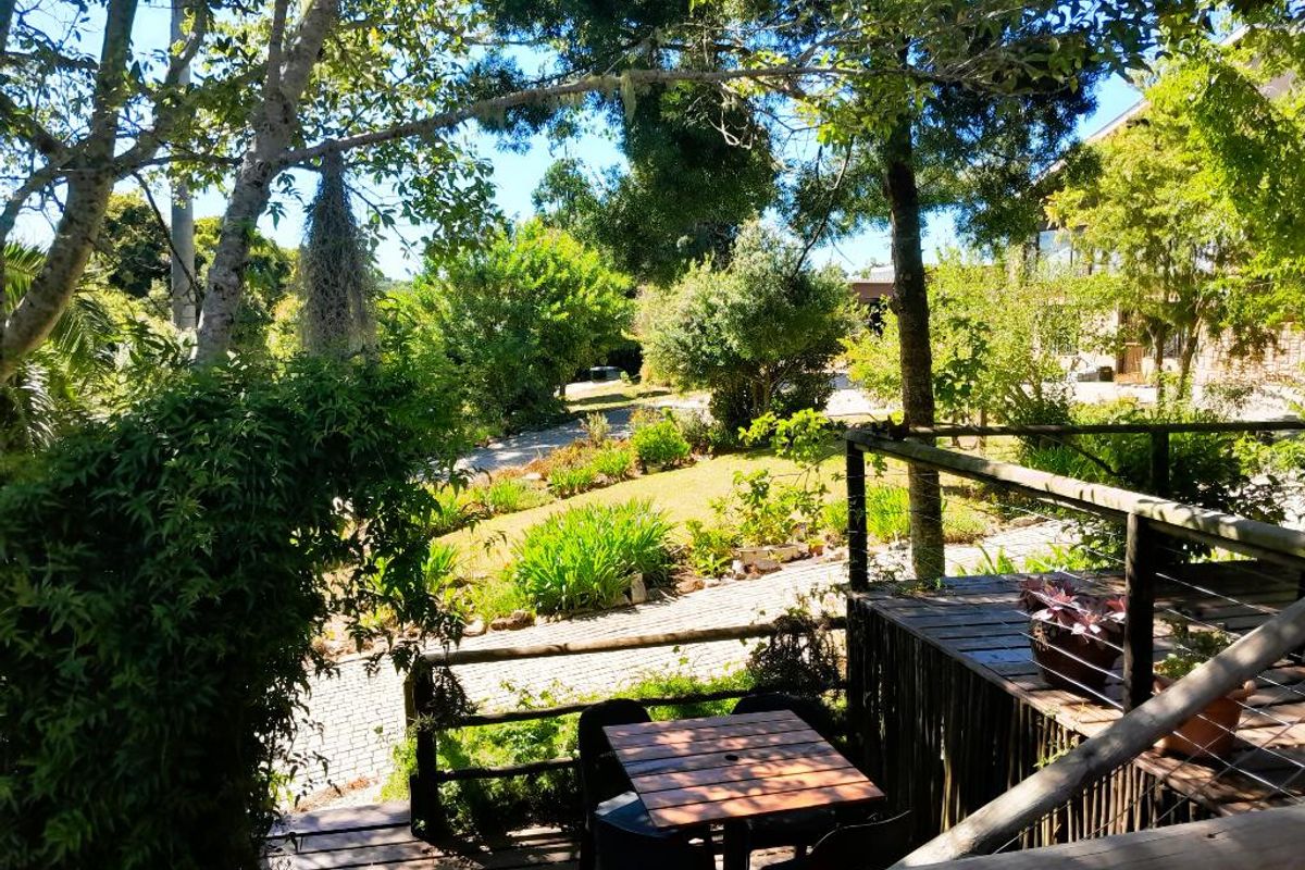 Embark on a Profitable Odyssey: Invest in Harkerville Forest Lodge, where Nature Meets Legacy - Photo 2