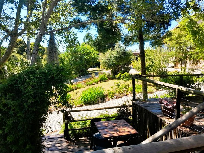 Embark on a Profitable Odyssey: Invest in Harkerville Forest Lodge, where Nature Meets Legacy - Photo 2