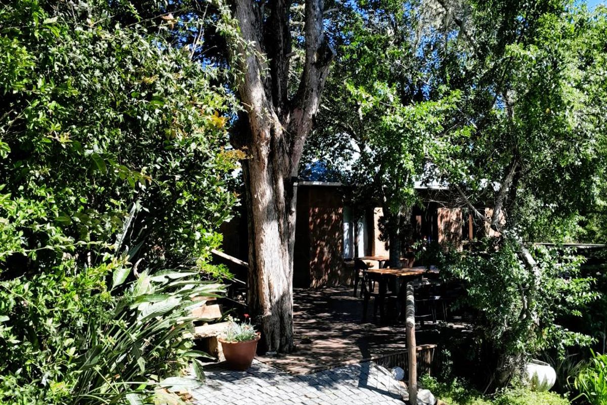 Embark on a Profitable Odyssey: Invest in Harkerville Forest Lodge, where Nature Meets Legacy - Photo 5