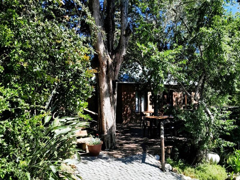 Embark on a Profitable Odyssey: Invest in Harkerville Forest Lodge, where Nature Meets Legacy - Photo 5