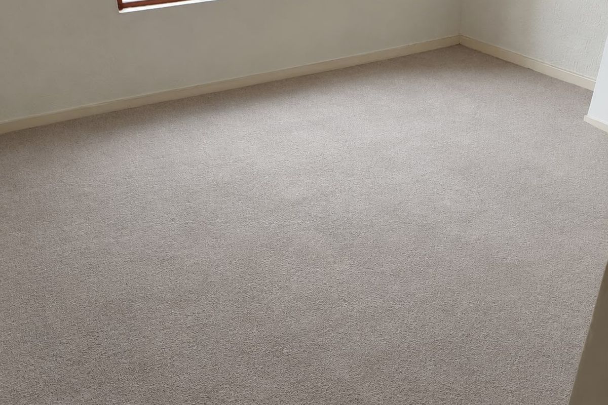 A clean, empty bedroom featuring neutral carpeting and a large timber-framed window providing natural light.
