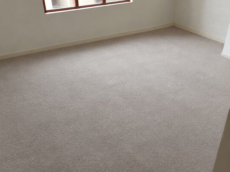 A clean, empty bedroom featuring neutral carpeting and a large timber-framed window providing natural light.