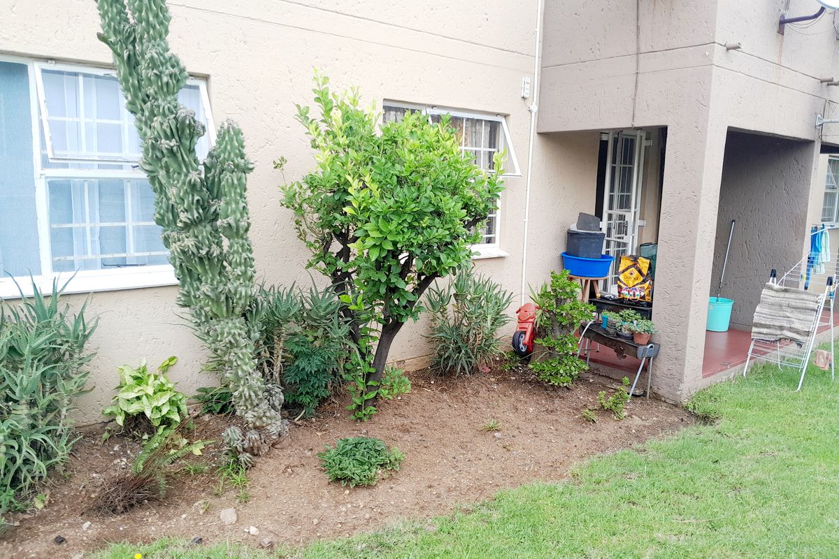 Rear exterior view of the townhouse featuring a small garden area, lawn, and covered patio entrance with security bars on the windows.