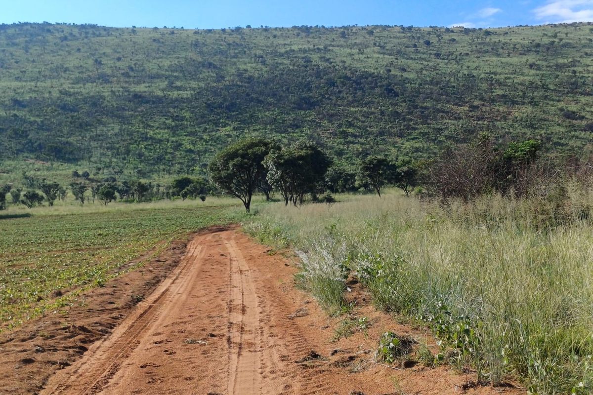 Farmland with High Earning Potential - Photo 2