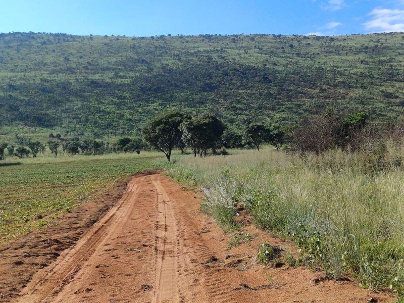 Farmland with High Earning Potential - Photo 2