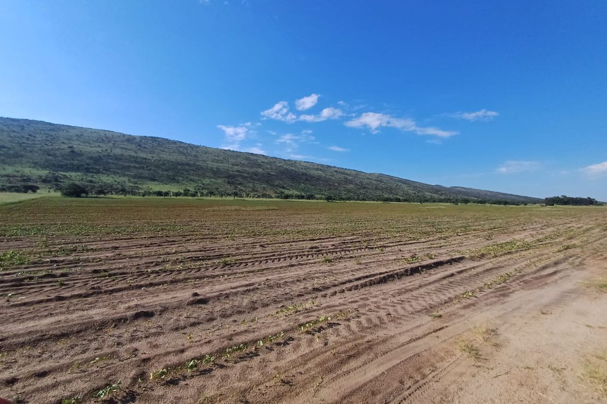 Farmland with High Earning Potential - Photo 4