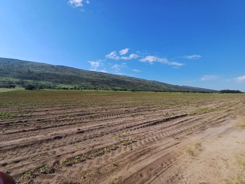 Farmland with High Earning Potential - Photo 4