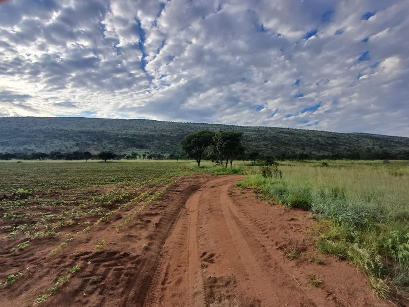 Farmland with High Earning Potential - Photo 8