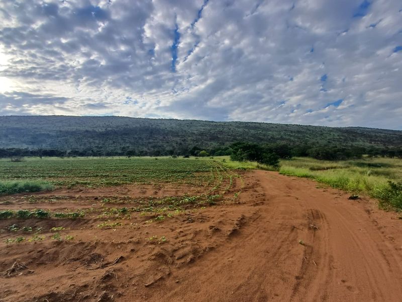 Farmland with High Earning Potential - Photo 9