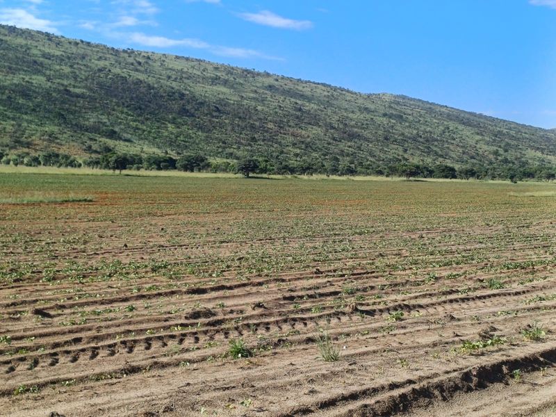 Farmland with High Earning Potential - Photo 7